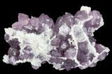 Purple Fluorite on Quartz Epimorphs - Arizona #103558-1